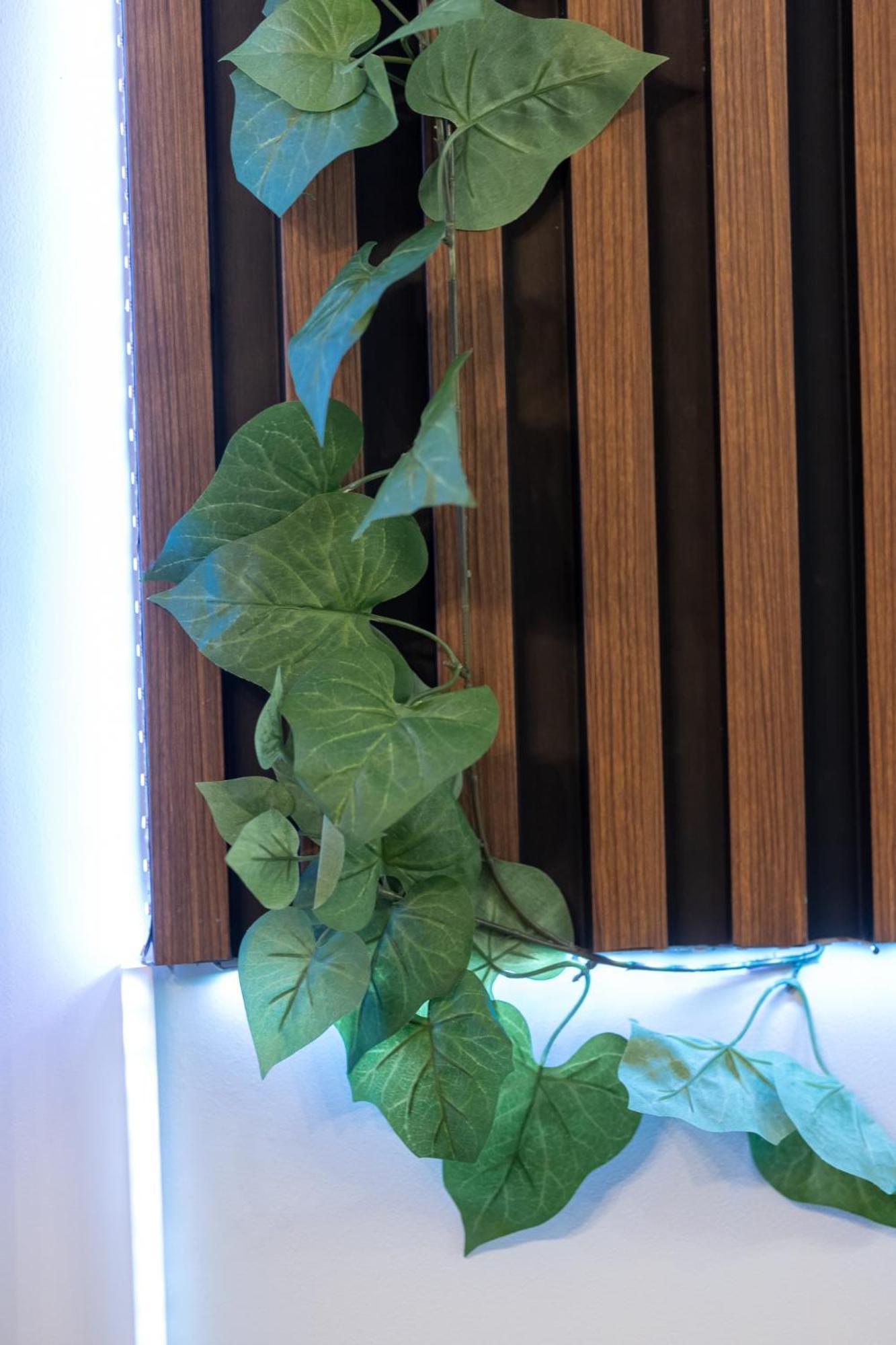 סופיה Vintage Home By Ndk And Vitosha Blvd With Free Secured Parking מראה חיצוני תמונה